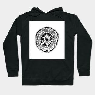 Under The Microscope II Hoodie